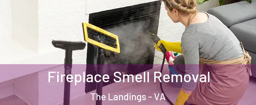 Fireplace Smell Removal The Landings - VA