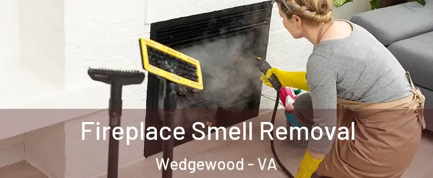 Fireplace Smell Removal Wedgewood - VA