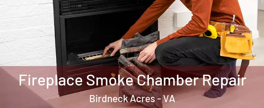 Fireplace Smoke Chamber Repair Birdneck Acres - VA