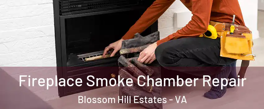 Fireplace Smoke Chamber Repair Blossom Hill Estates - VA