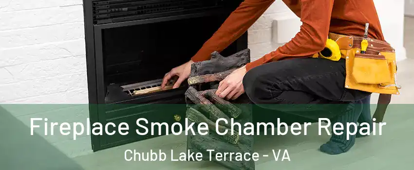 Fireplace Smoke Chamber Repair Chubb Lake Terrace - VA