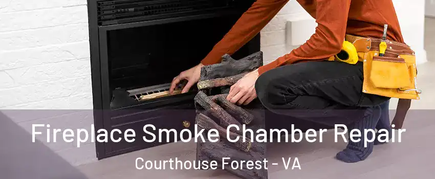 Fireplace Smoke Chamber Repair Courthouse Forest - VA
