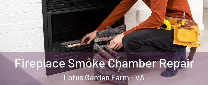 Fireplace Smoke Chamber Repair Lotus Garden Farm - VA