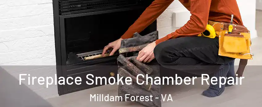 Fireplace Smoke Chamber Repair Milldam Forest - VA