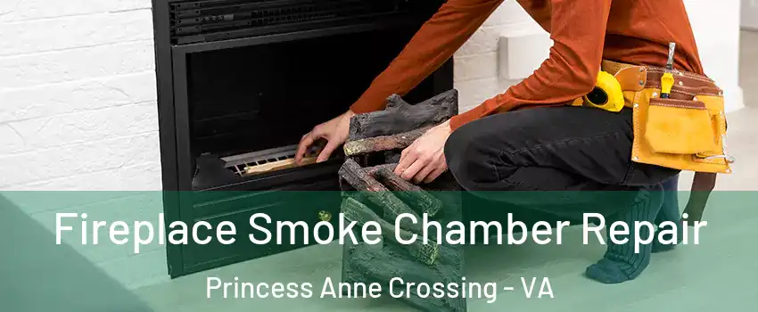 Fireplace Smoke Chamber Repair Princess Anne Crossing - VA