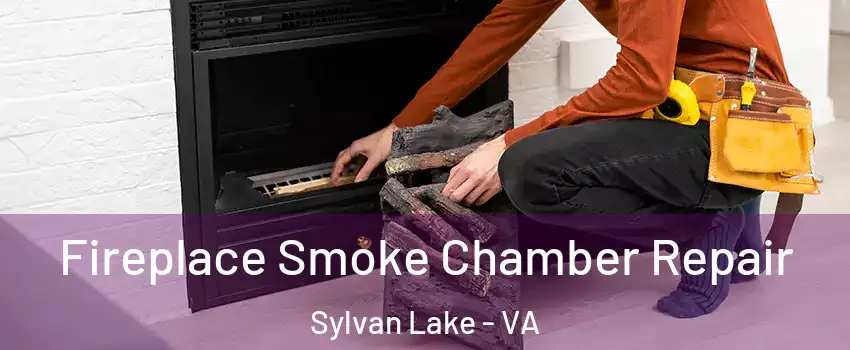 Fireplace Smoke Chamber Repair Sylvan Lake - VA