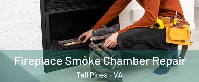 Fireplace Smoke Chamber Repair Tall Pines - VA