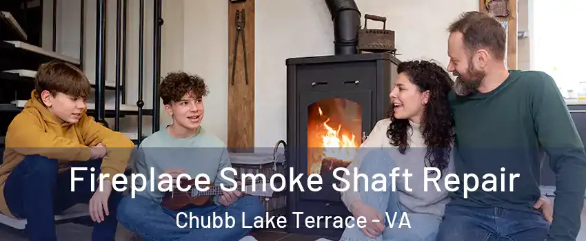 Fireplace Smoke Shaft Repair Chubb Lake Terrace - VA
