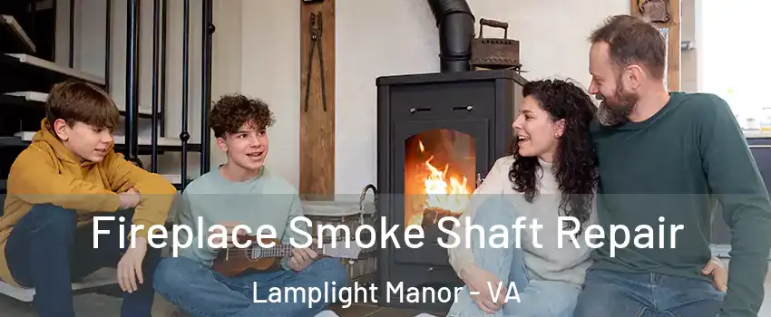 Fireplace Smoke Shaft Repair Lamplight Manor - VA