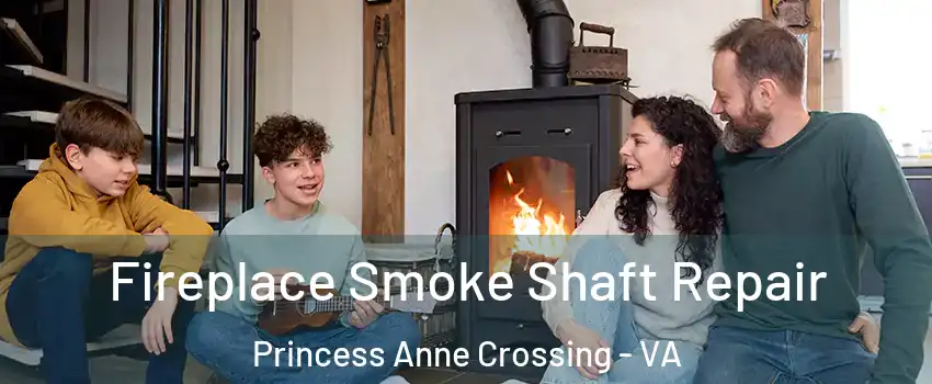 Fireplace Smoke Shaft Repair Princess Anne Crossing - VA