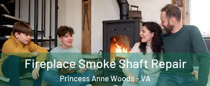 Fireplace Smoke Shaft Repair Princess Anne Woods - VA