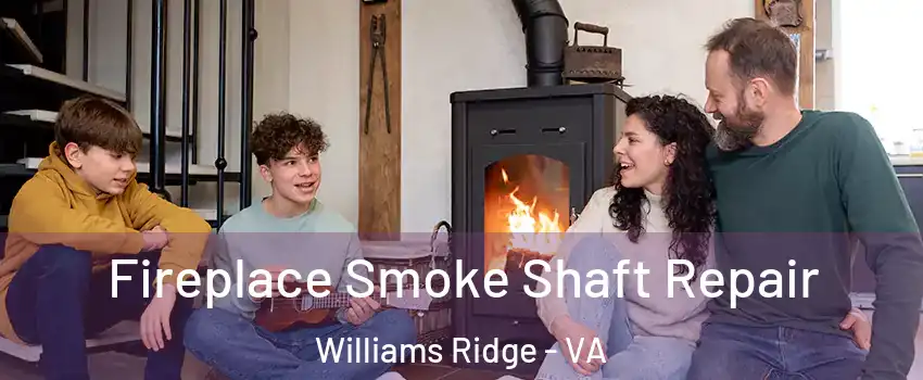 Fireplace Smoke Shaft Repair Williams Ridge - VA