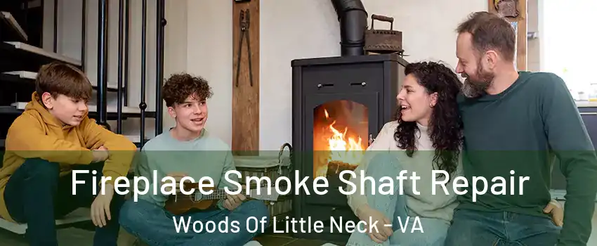 Fireplace Smoke Shaft Repair Woods Of Little Neck - VA