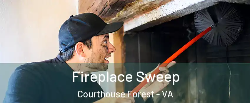 Fireplace Sweep Courthouse Forest - VA