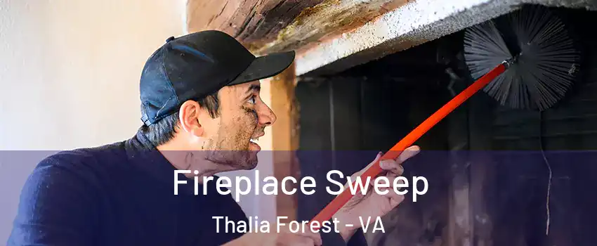 Fireplace Sweep Thalia Forest - VA