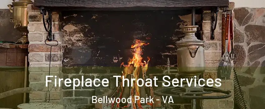 Fireplace Throat Services Bellwood Park - VA