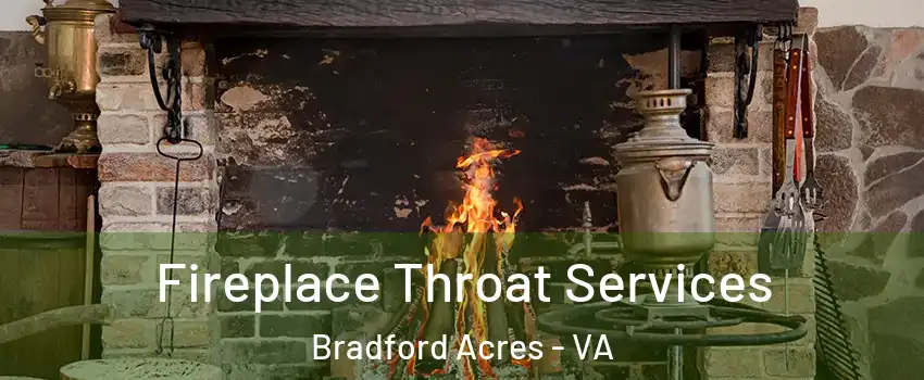 Fireplace Throat Services Bradford Acres - VA