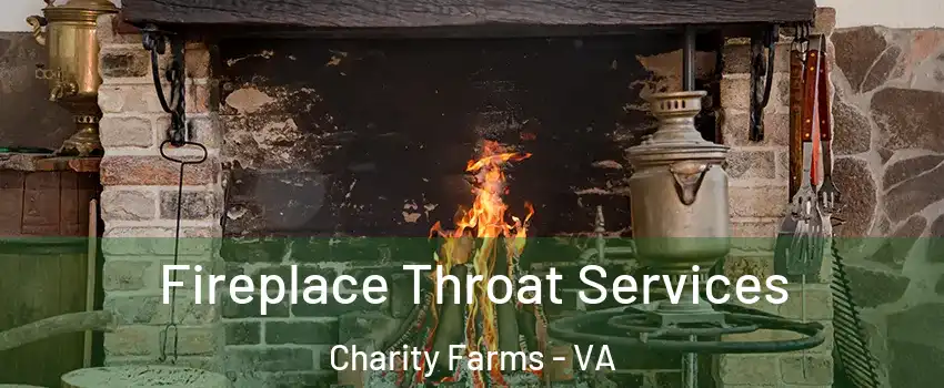 Fireplace Throat Services Charity Farms - VA
