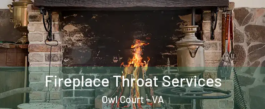 Fireplace Throat Services Owl Court - VA