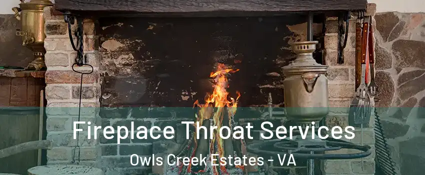 Fireplace Throat Services Owls Creek Estates - VA