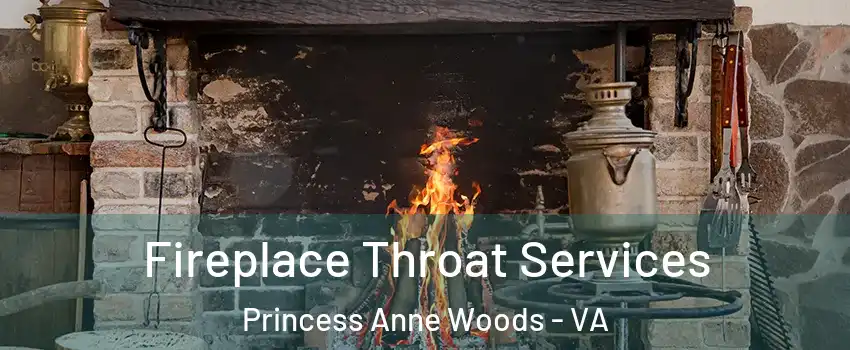 Fireplace Throat Services Princess Anne Woods - VA