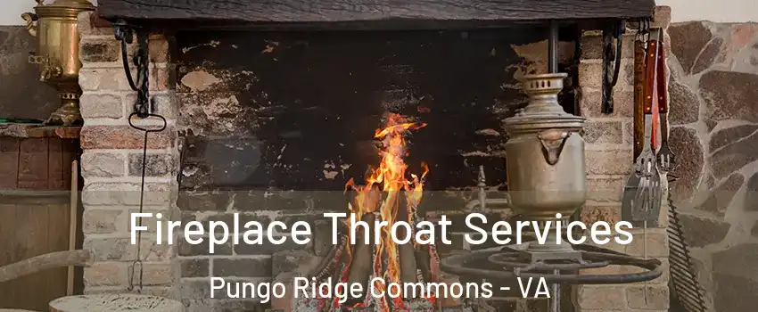 Fireplace Throat Services Pungo Ridge Commons - VA