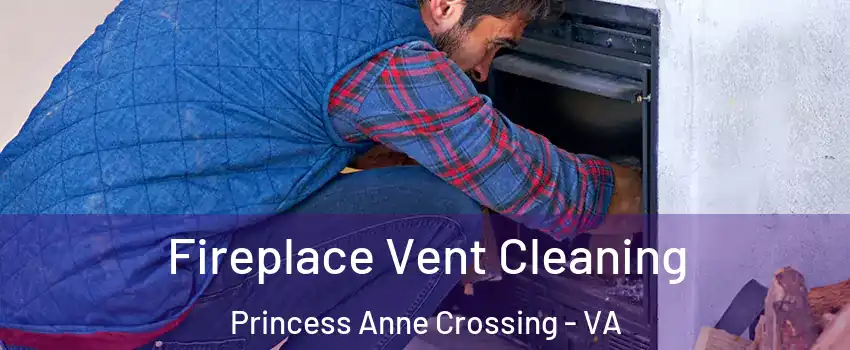 Fireplace Vent Cleaning Princess Anne Crossing - VA