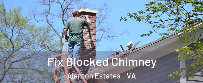Fix Blocked Chimney Alanton Estates - VA