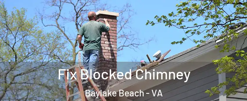 Fix Blocked Chimney Baylake Beach - VA