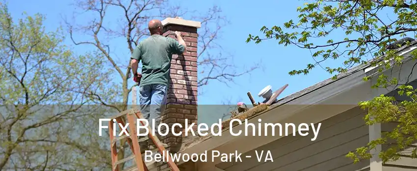 Fix Blocked Chimney Bellwood Park - VA