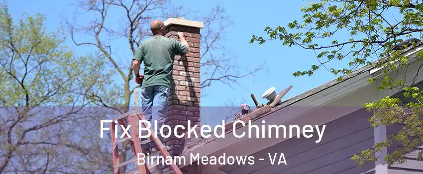 Fix Blocked Chimney Birnam Meadows - VA