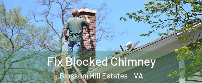 Fix Blocked Chimney Blossom Hill Estates - VA