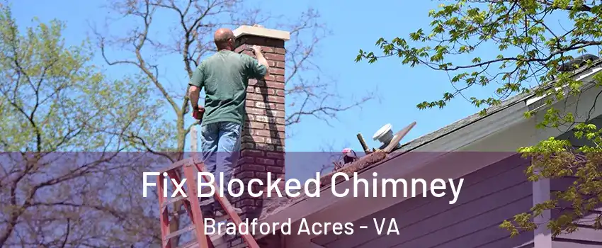 Fix Blocked Chimney Bradford Acres - VA