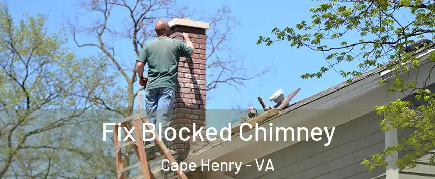 Fix Blocked Chimney Cape Henry - VA