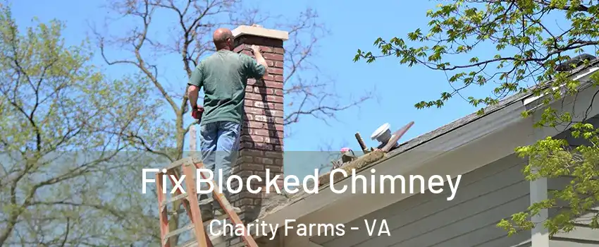 Fix Blocked Chimney Charity Farms - VA