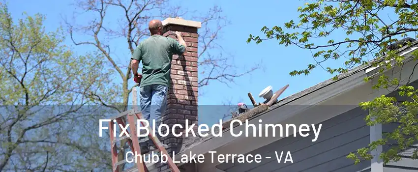 Fix Blocked Chimney Chubb Lake Terrace - VA