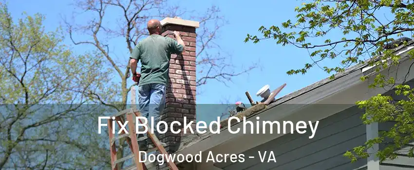 Fix Blocked Chimney Dogwood Acres - VA
