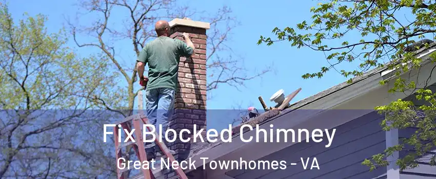 Fix Blocked Chimney Great Neck Townhomes - VA