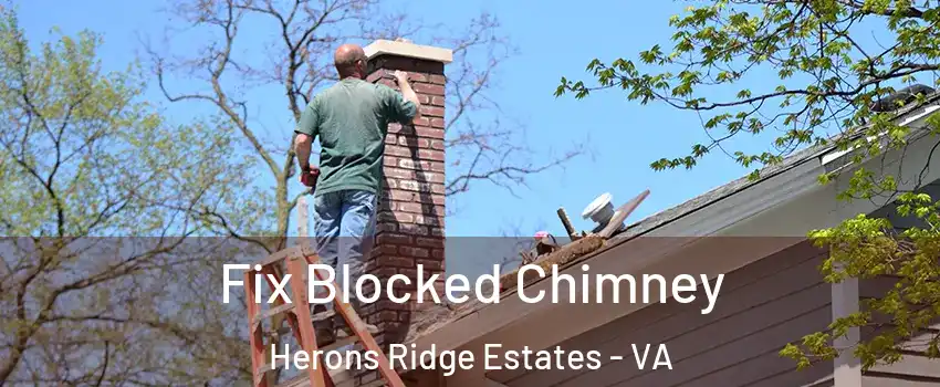 Fix Blocked Chimney Herons Ridge Estates - VA
