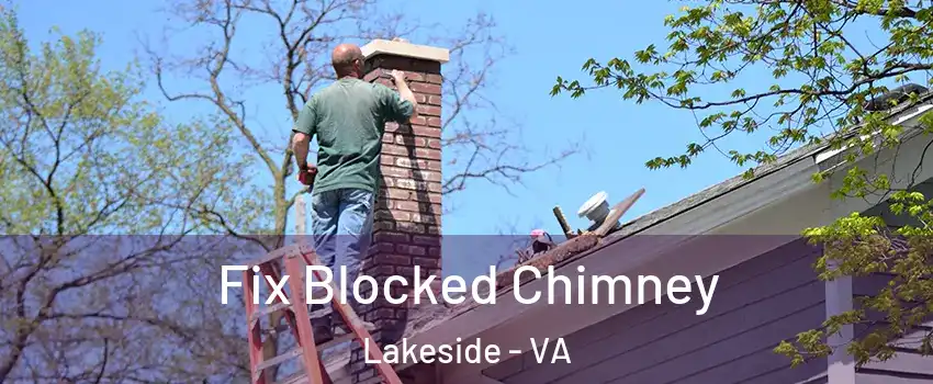 Fix Blocked Chimney Lakeside - VA