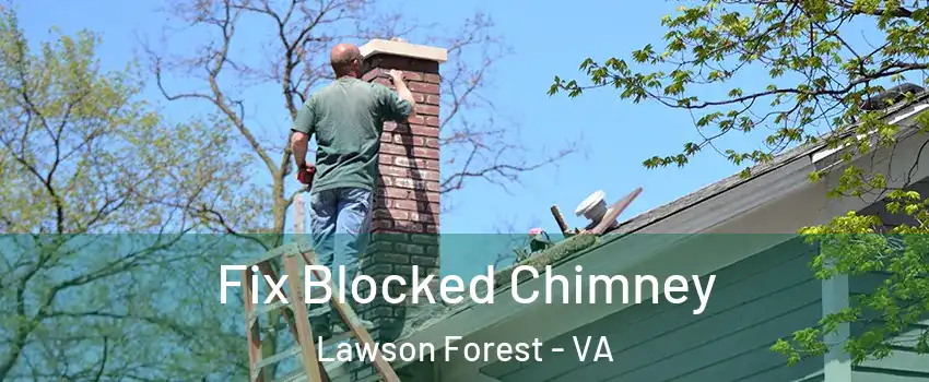 Fix Blocked Chimney Lawson Forest - VA