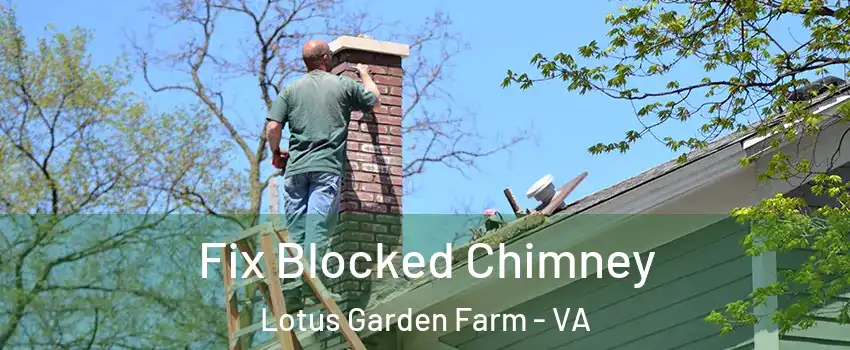 Fix Blocked Chimney Lotus Garden Farm - VA