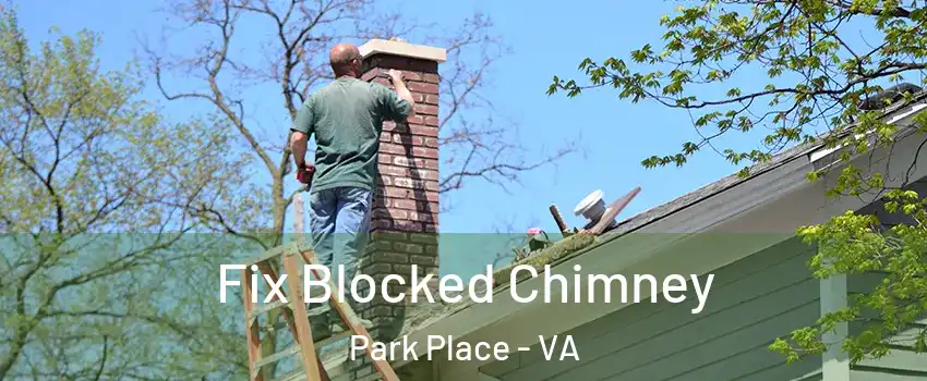 Fix Blocked Chimney Park Place - VA