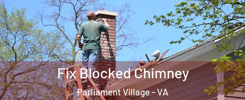 Fix Blocked Chimney Parliament Village - VA