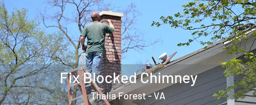 Fix Blocked Chimney Thalia Forest - VA