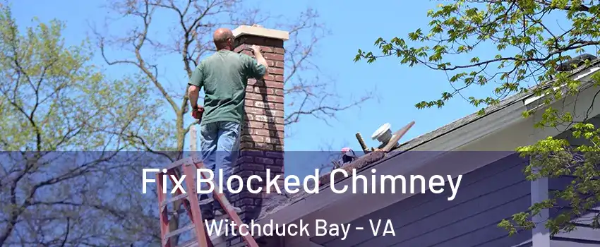 Fix Blocked Chimney Witchduck Bay - VA