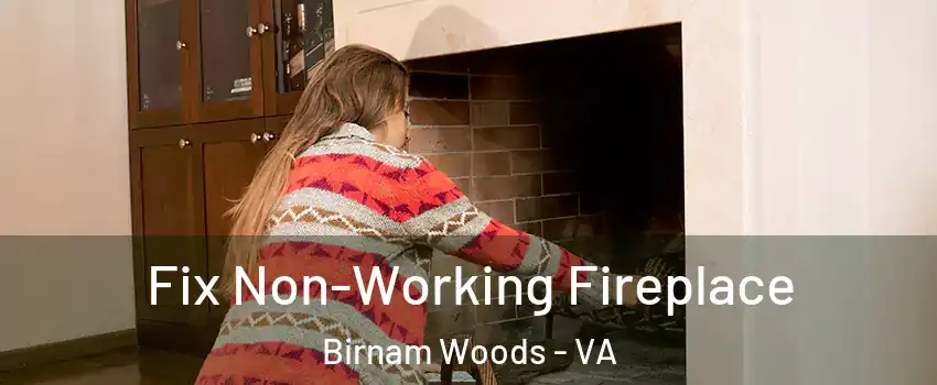 Fix Non-Working Fireplace Birnam Woods - VA