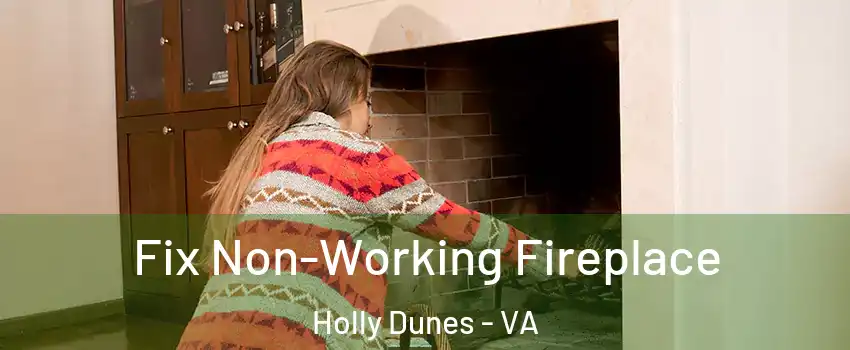 Fix Non-Working Fireplace Holly Dunes - VA