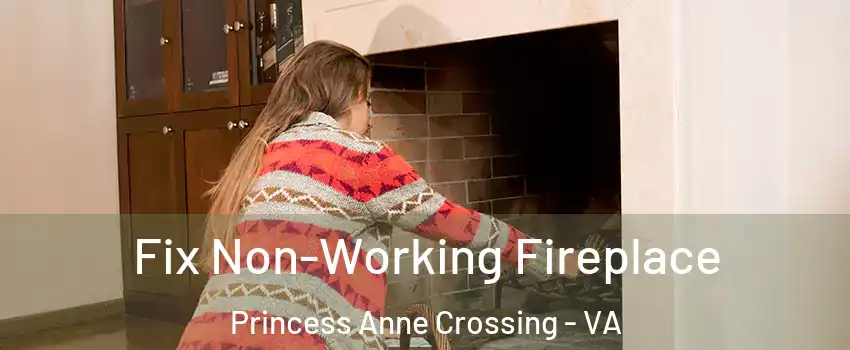 Fix Non-Working Fireplace Princess Anne Crossing - VA