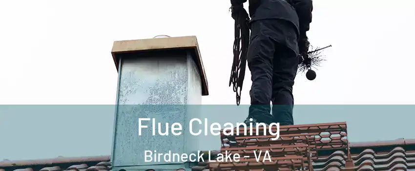 Flue Cleaning Birdneck Lake - VA